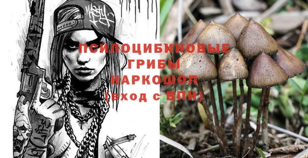 сатива Алексин