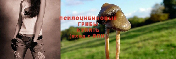 PSILOCYBIN Абдулино