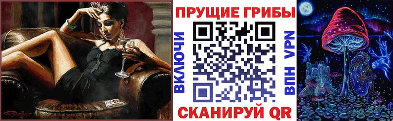 KRAKEN как войти  Назрань  мориарти Telegram  Галлюциногенные грибы GOLDEN TEACHER 